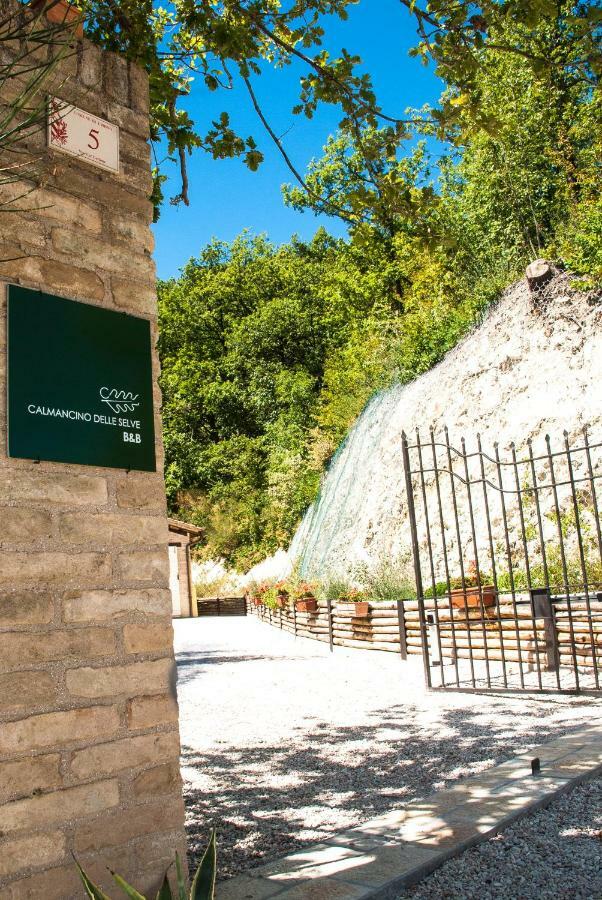 Bed and Breakfast Calmancino Delle Selve Urbino Exterior foto